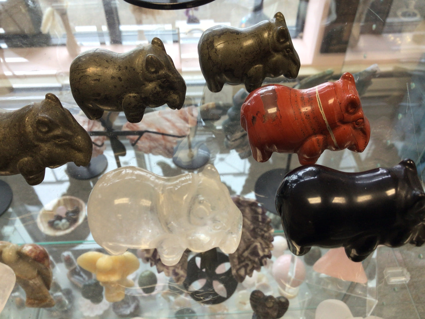 Small House Hippos