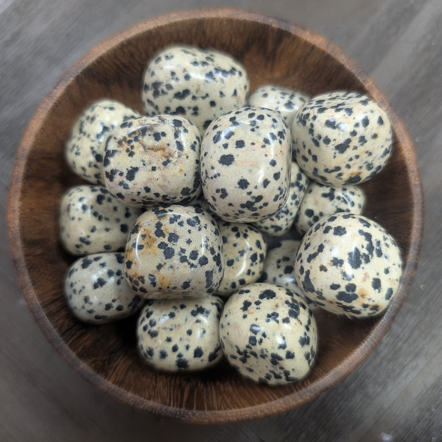 Dalmatian Jasper Tumbles