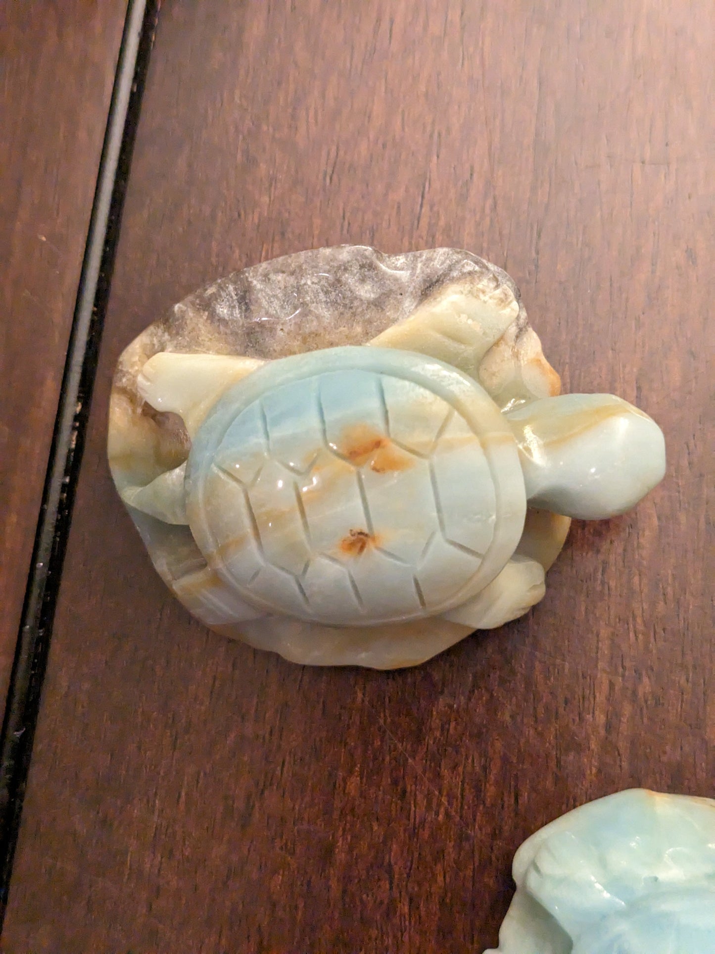 Caribbean Calcite Turtles