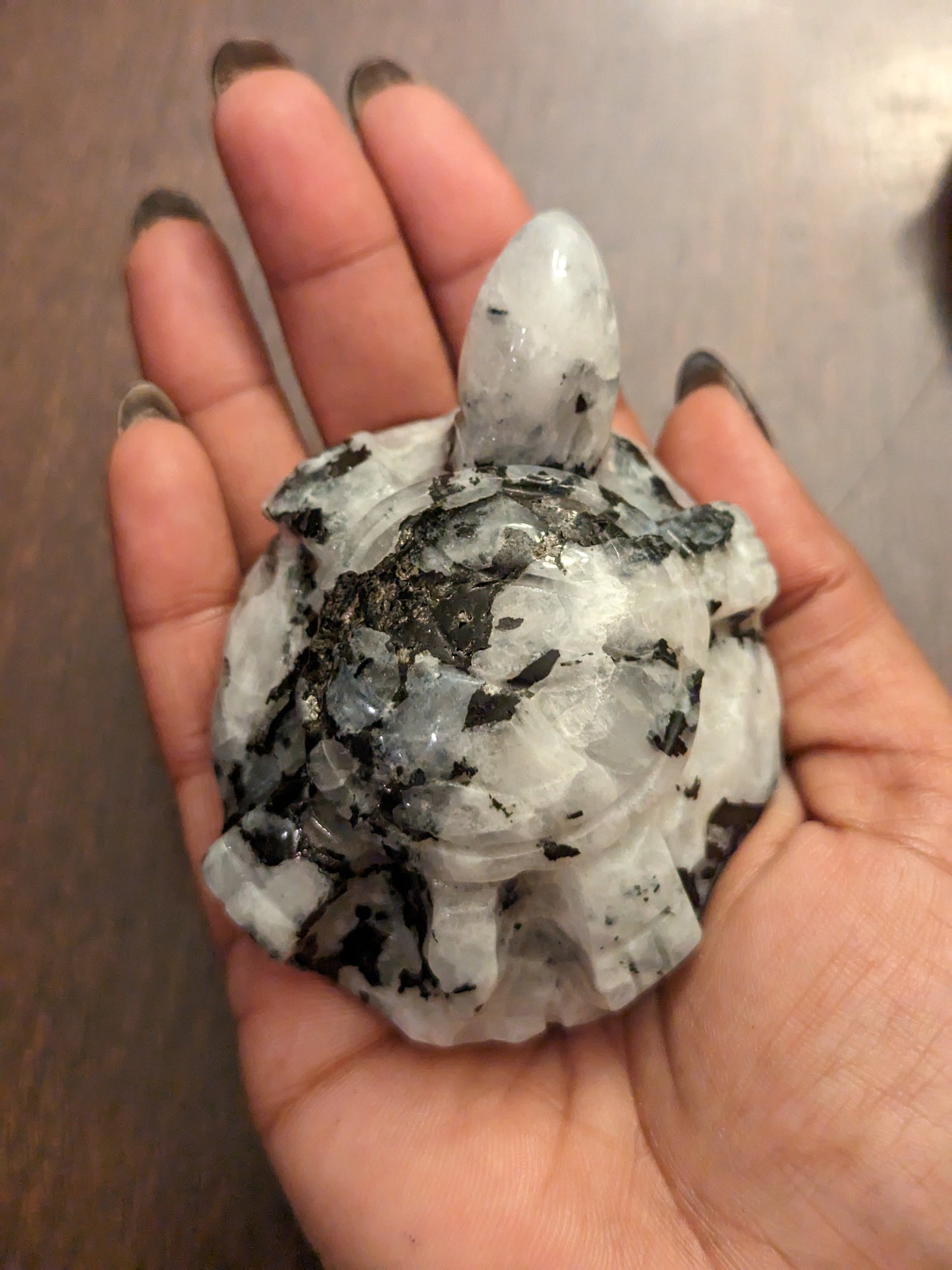 Moonstone Turtles