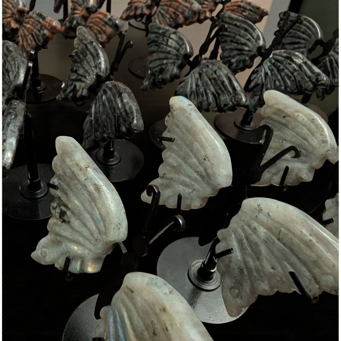 Small Butterflies