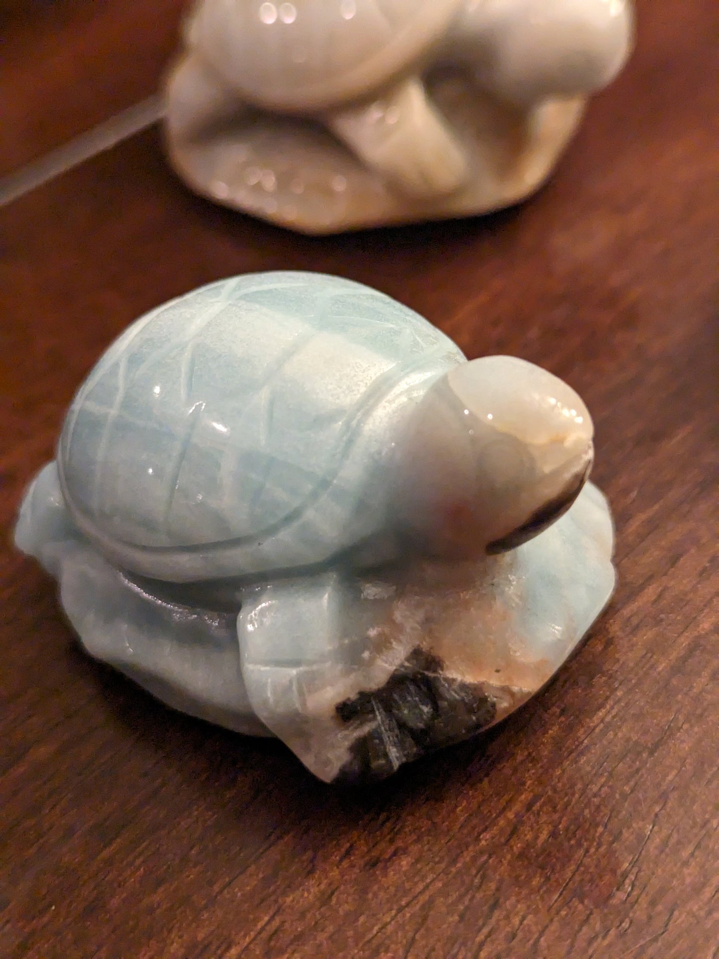 Caribbean Calcite Turtles