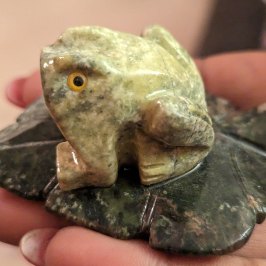Frog On Leaf