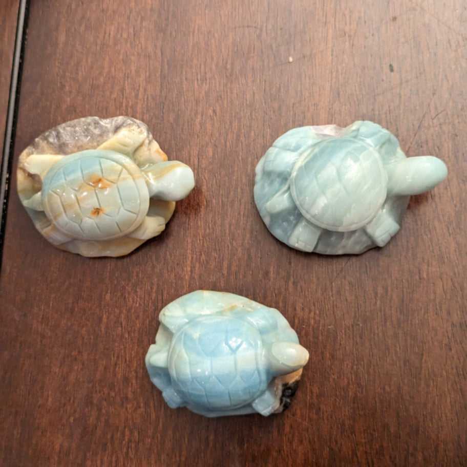 Caribbean Calcite Turtles