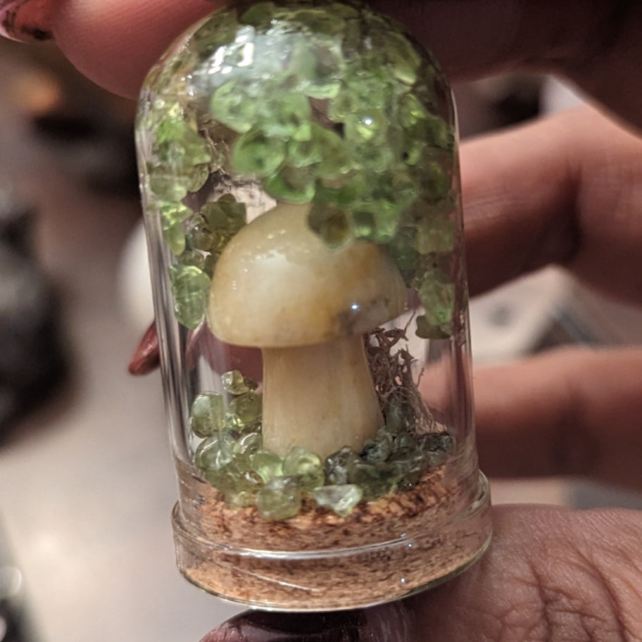 Crystal Terrariums