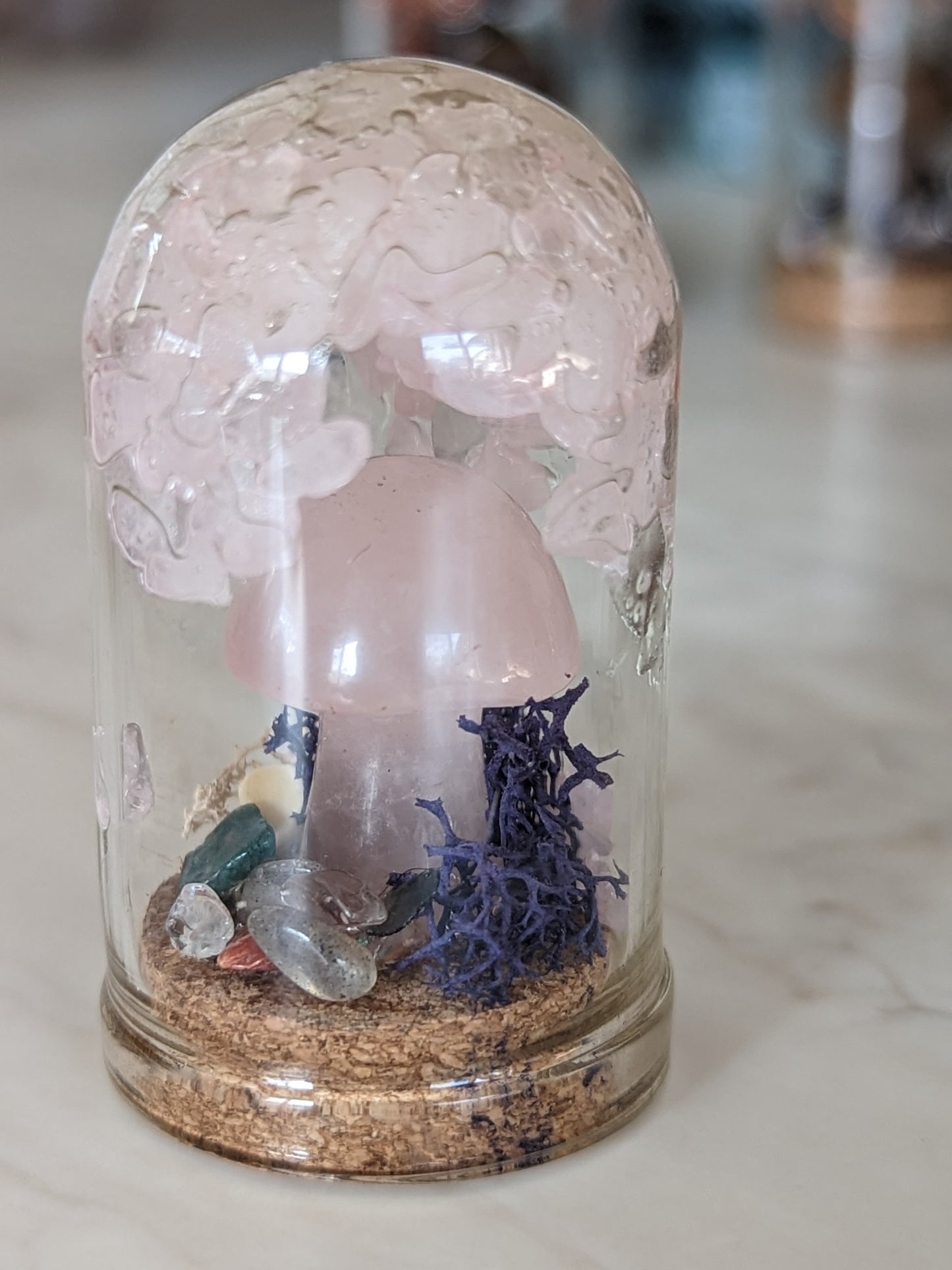 Crystal Terrariums