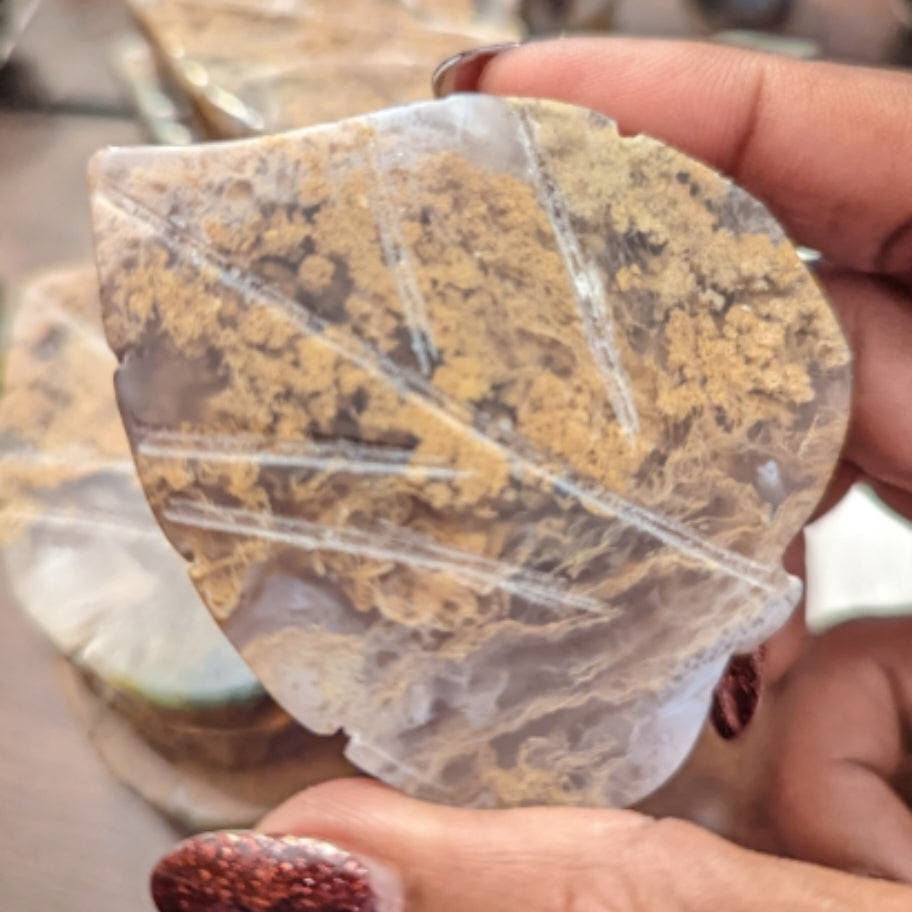 Brown Moss Agate Leaf