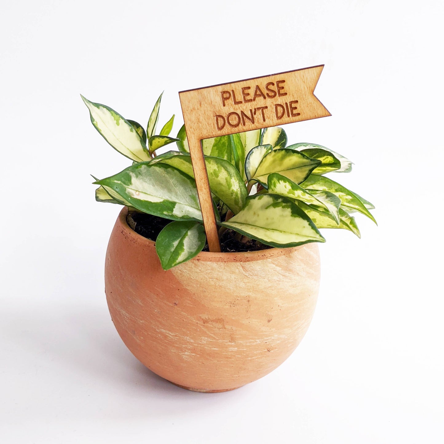 Plant Sign - Please Don't Die