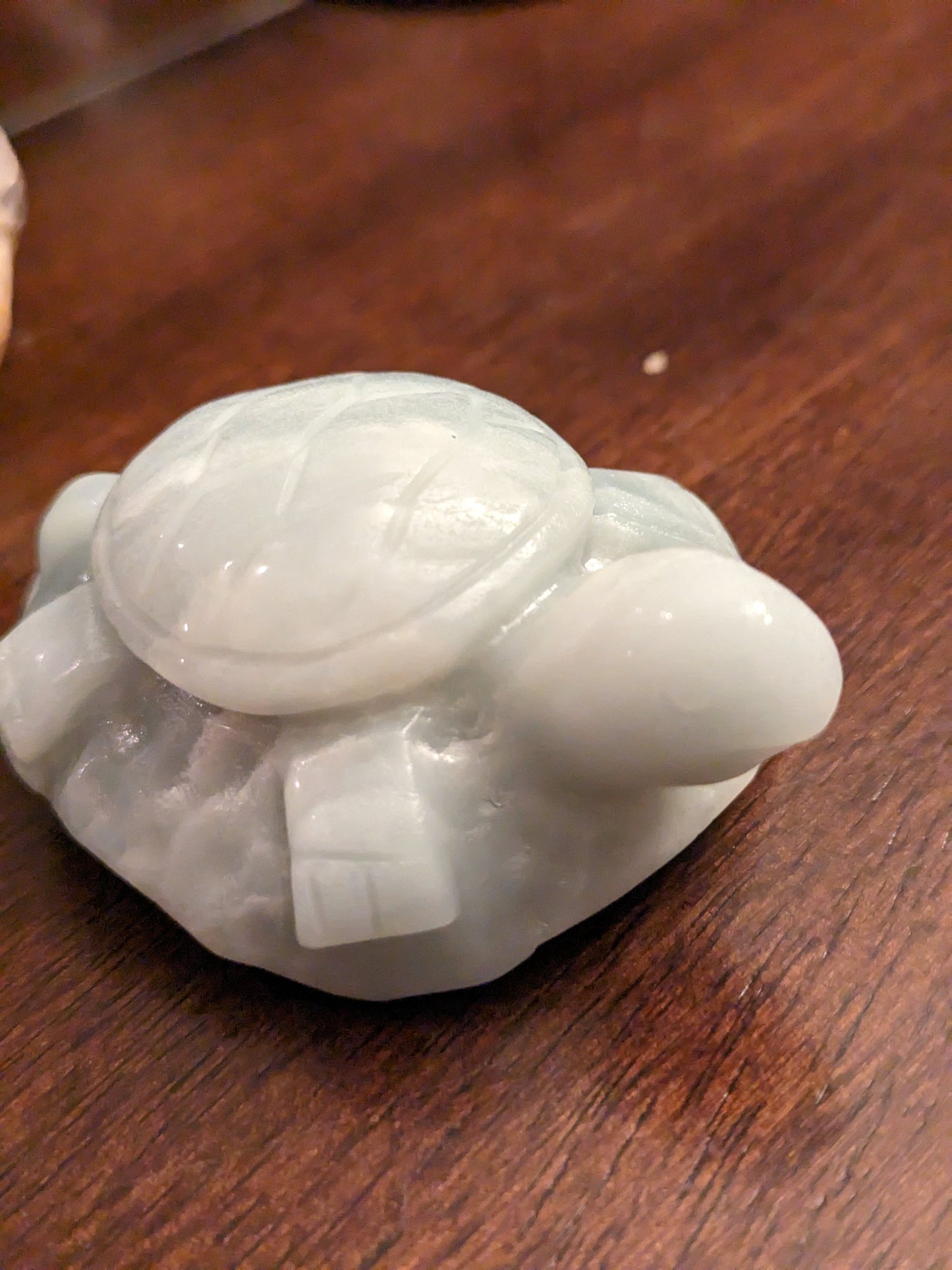 Caribbean Calcite Turtles