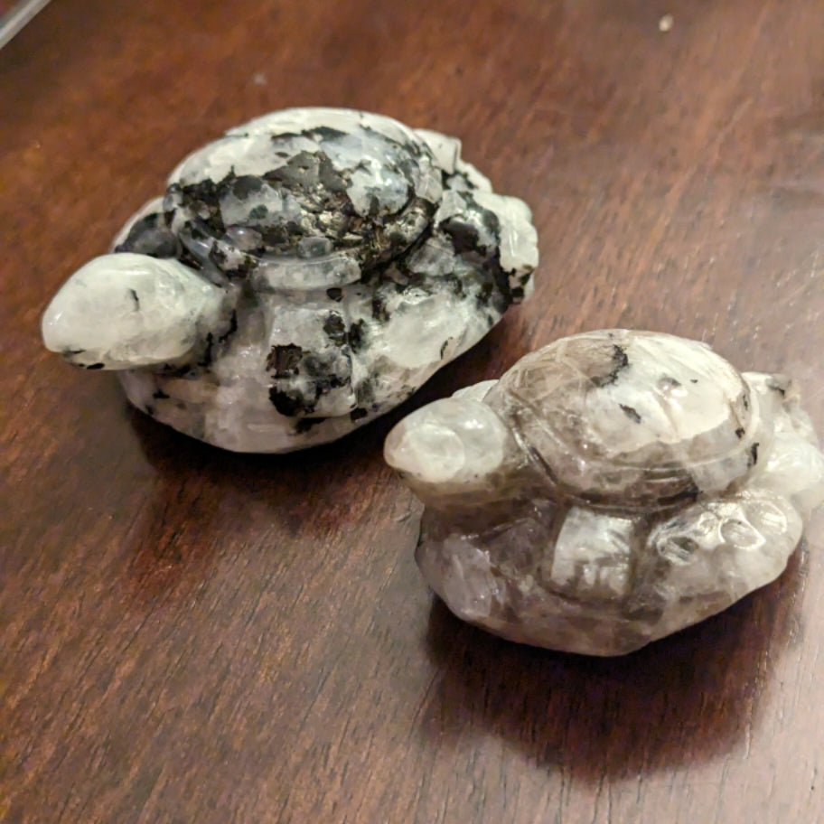 Moonstone Turtles