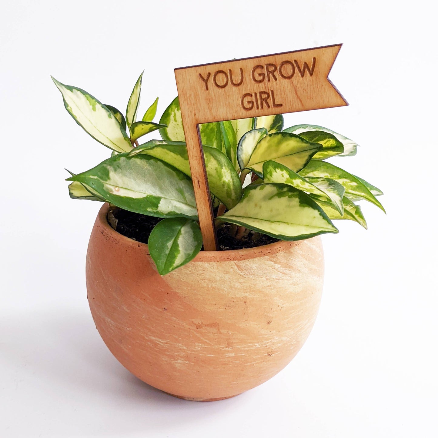 Plant Sign - You Grow Girl