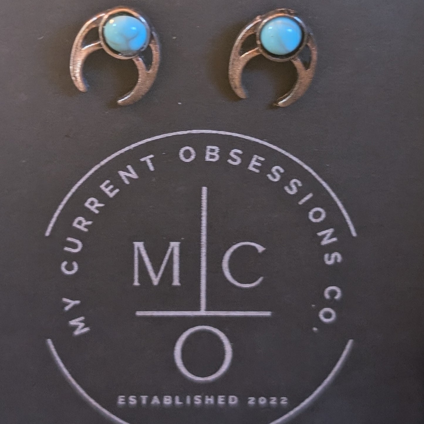 Post Earrings