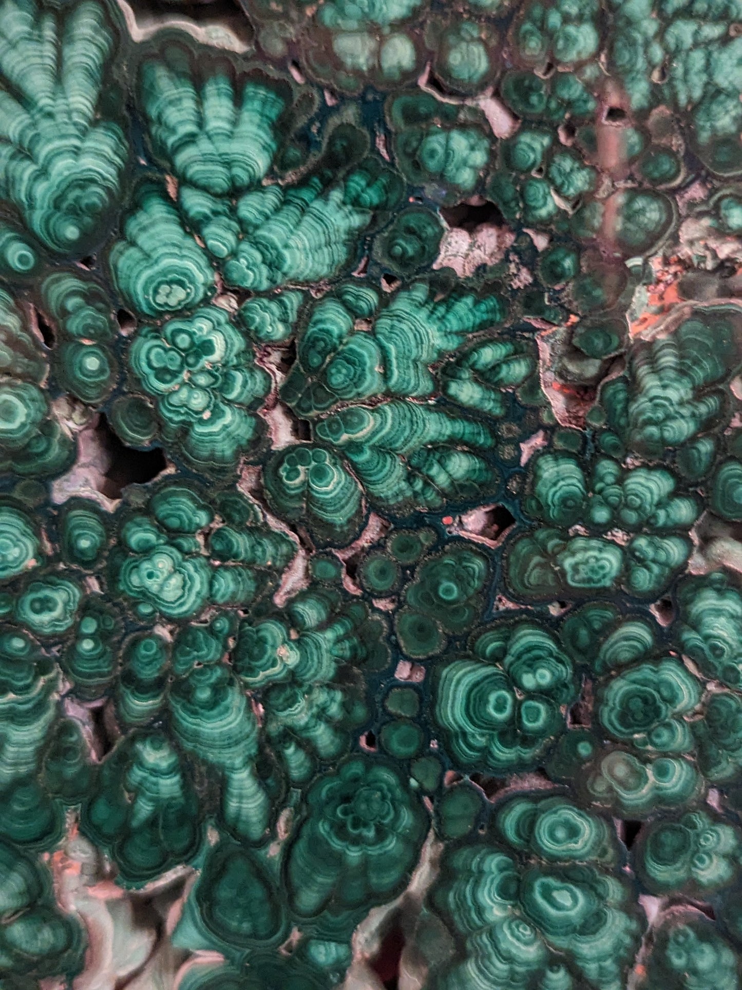 Malachite Slab Raw and Polished #635165G