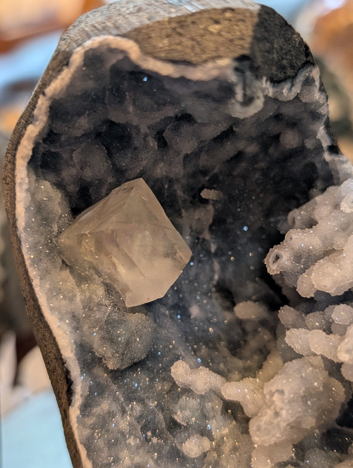 Blue Druzy Coral Chalcedony w/ Cubic Calcite Geode #398834