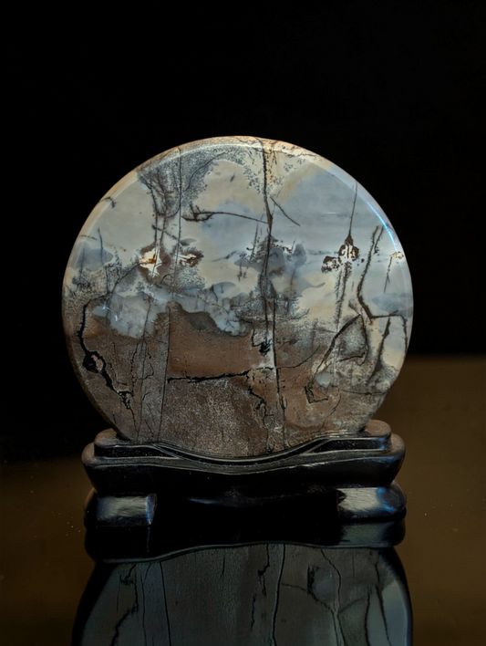 Picture Jasper on stand #PICT-3NTMIG