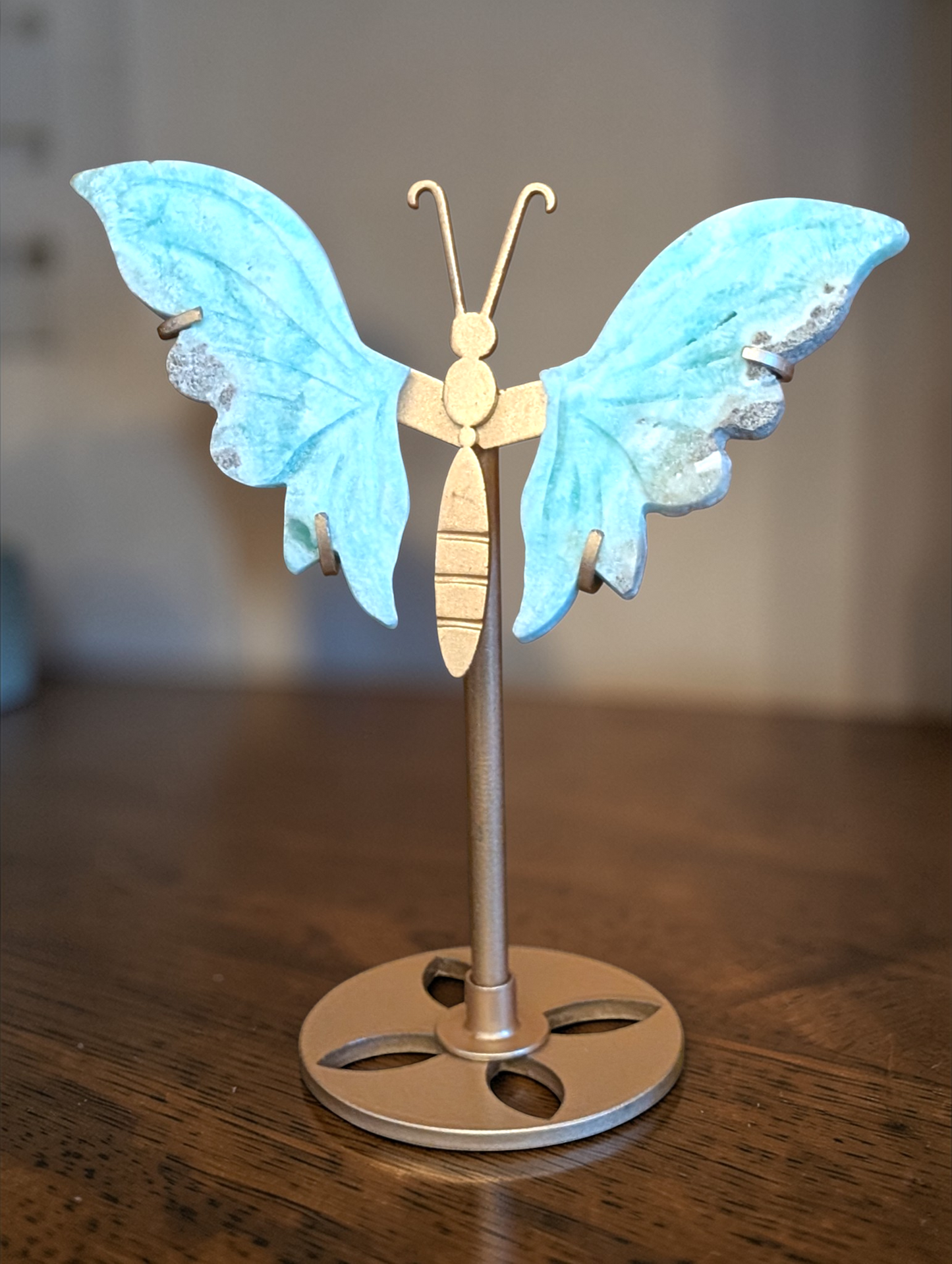 6 inch Butterfly Wings