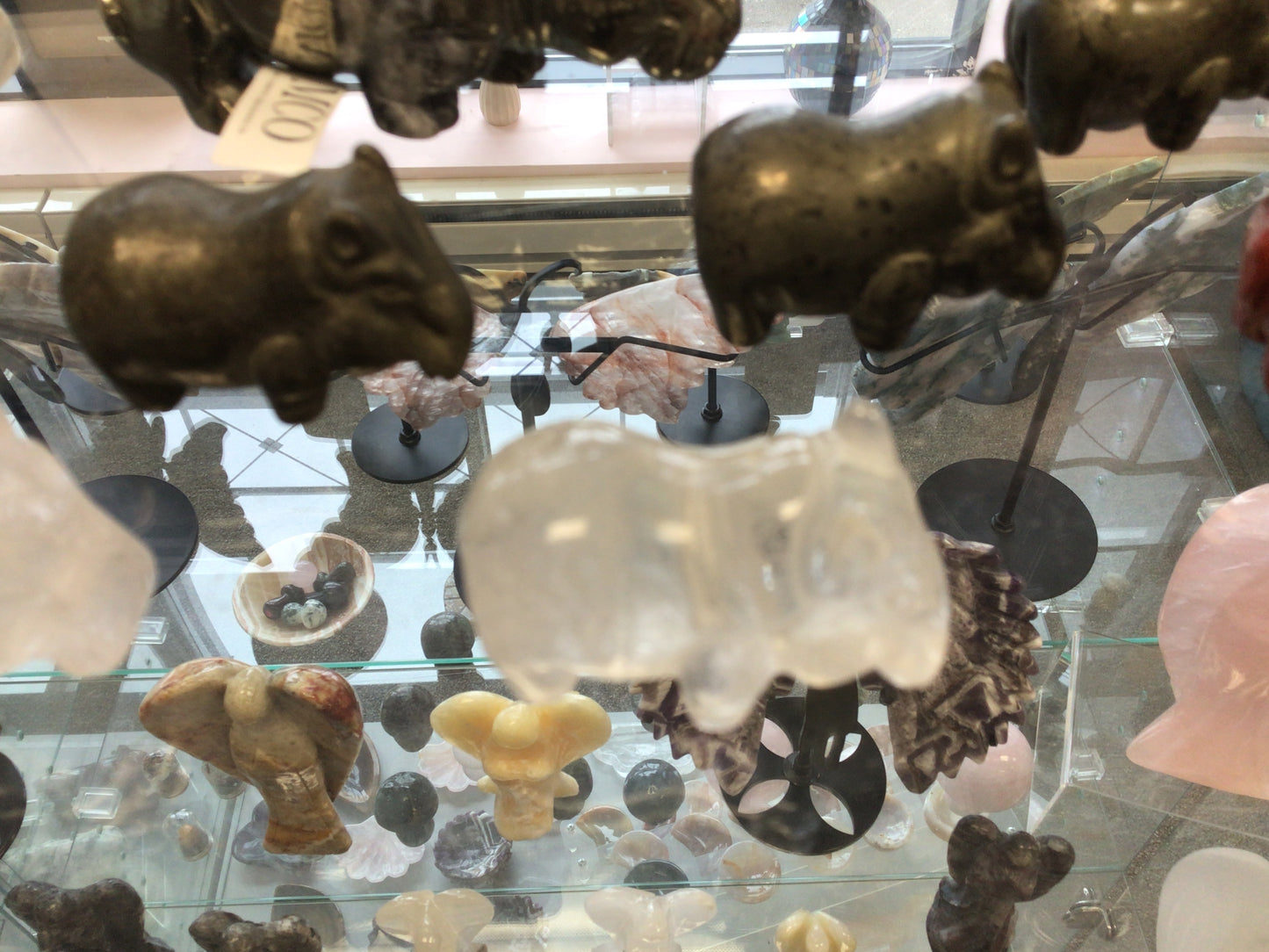 Small House Hippos