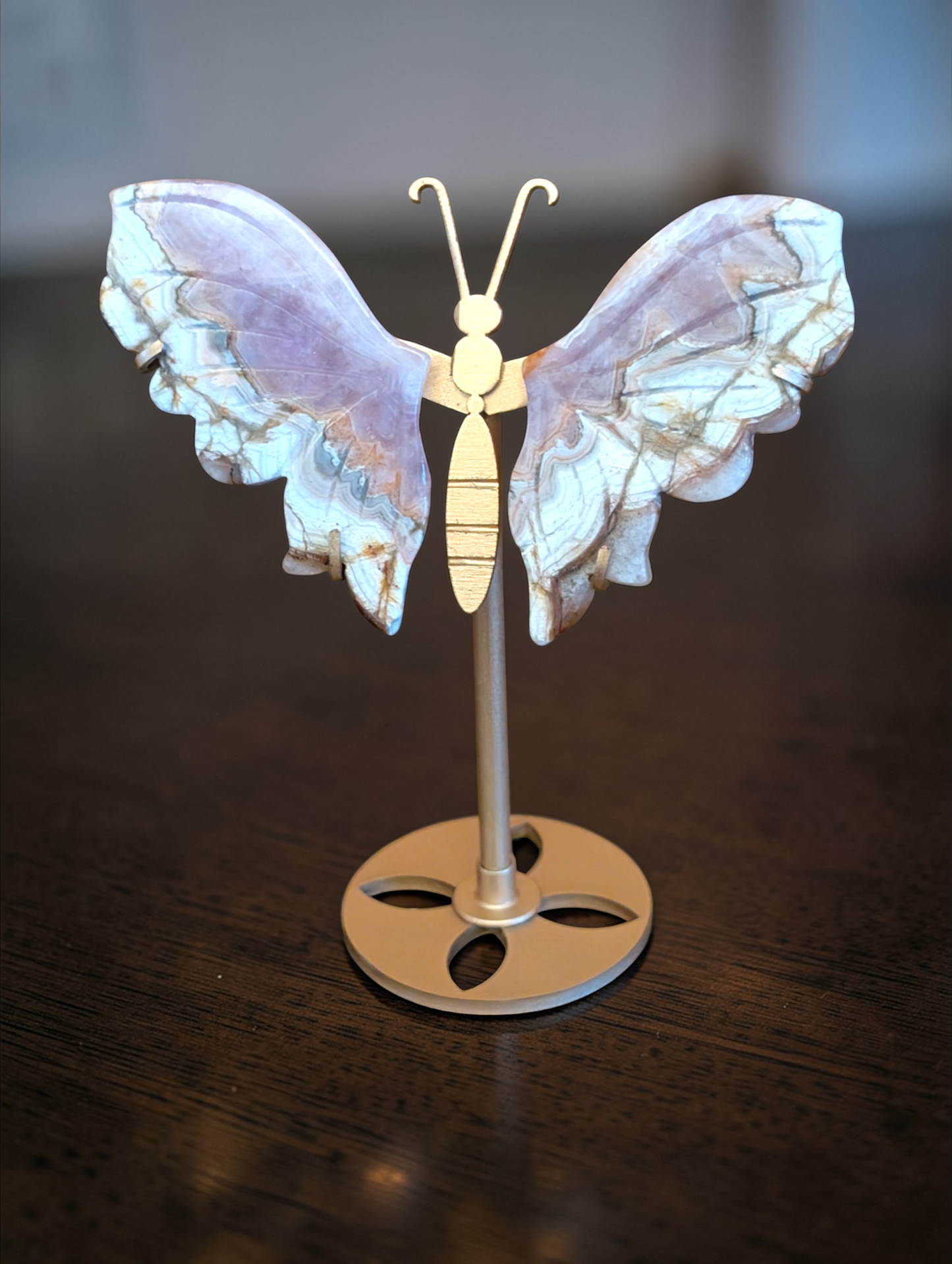 6 inch Butterfly Wings