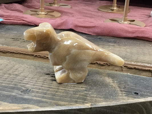 Small Mexican T-Rex