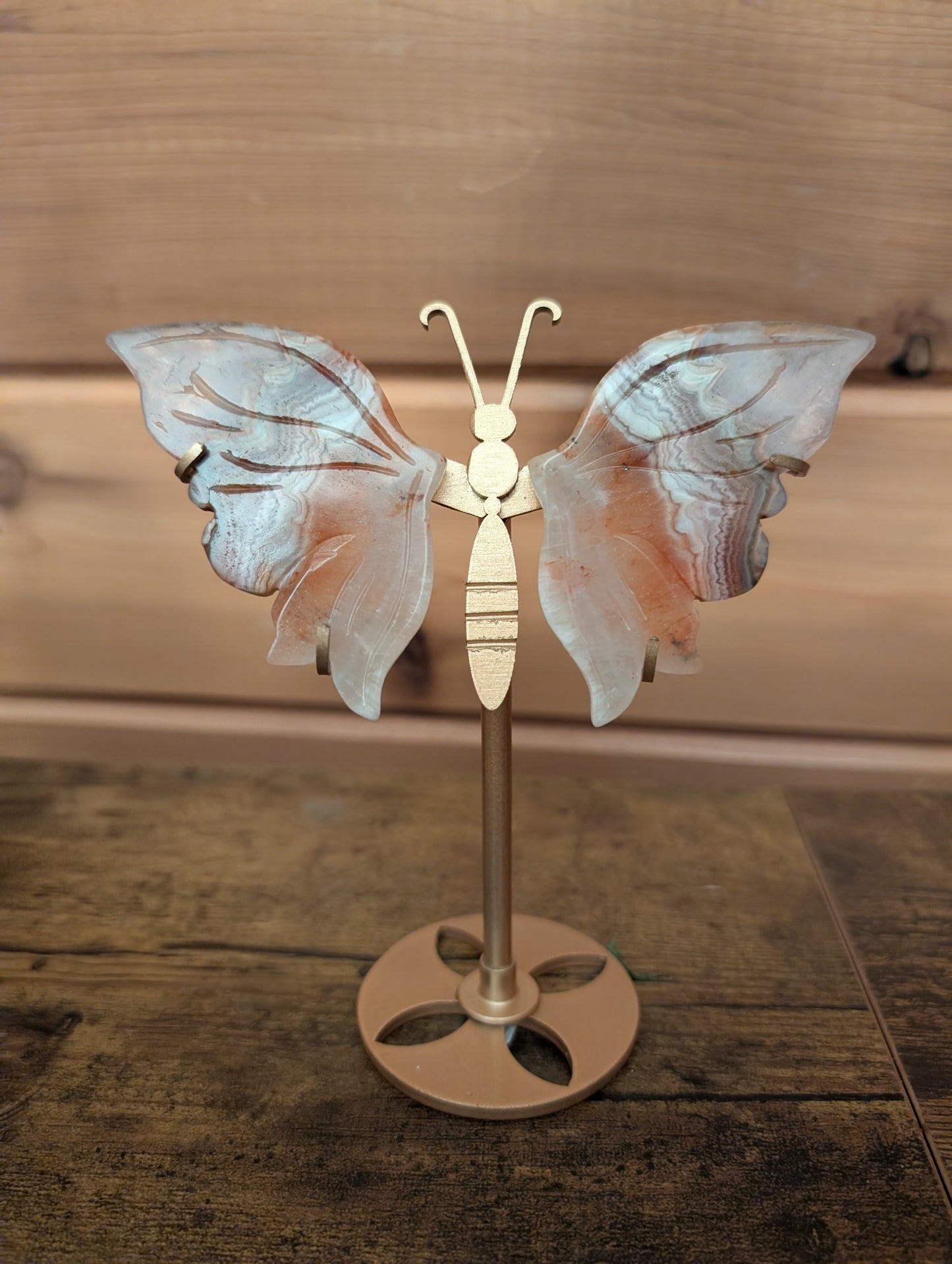6 inch Butterfly Wings