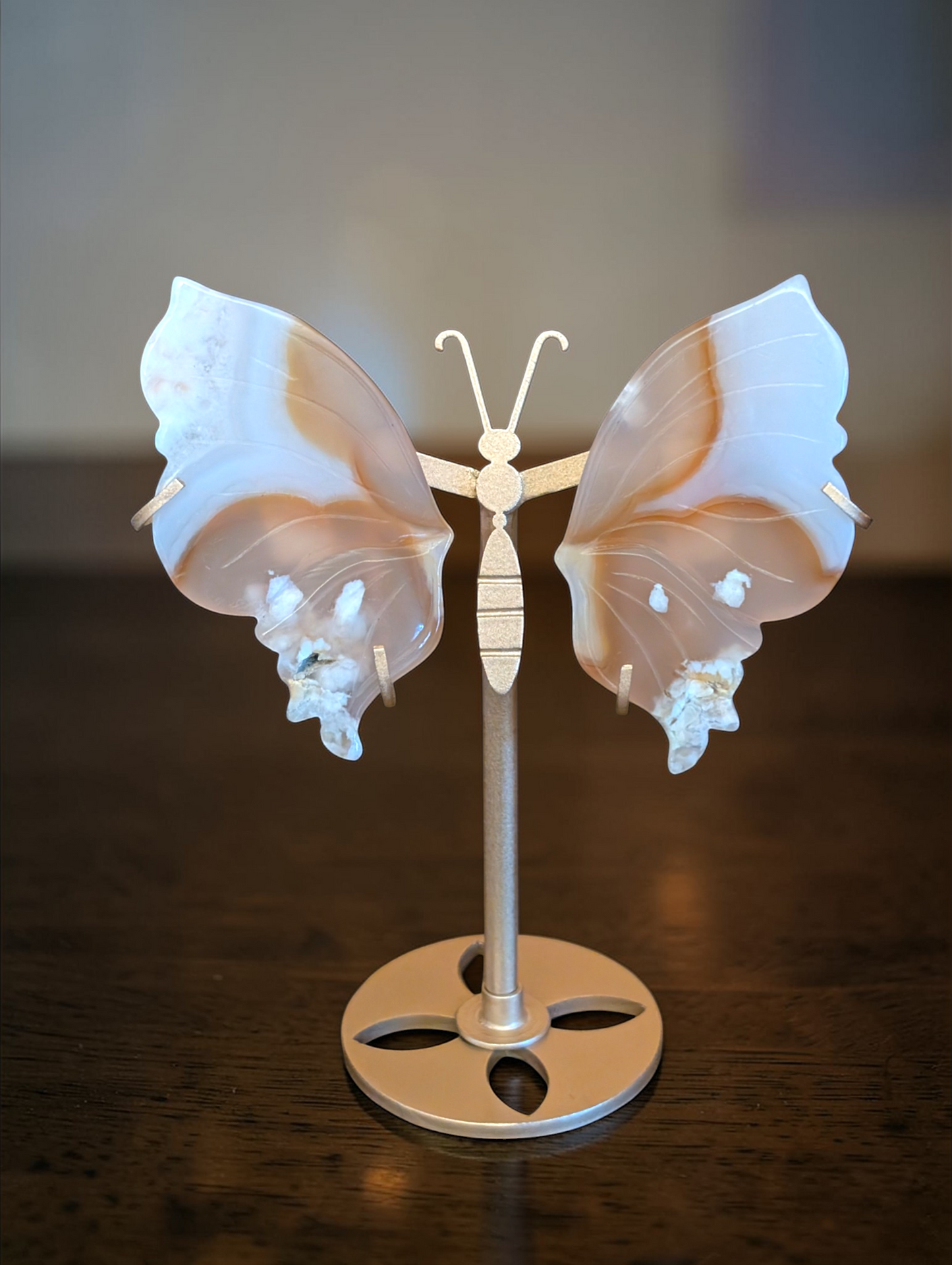 6 inch Butterfly Wings