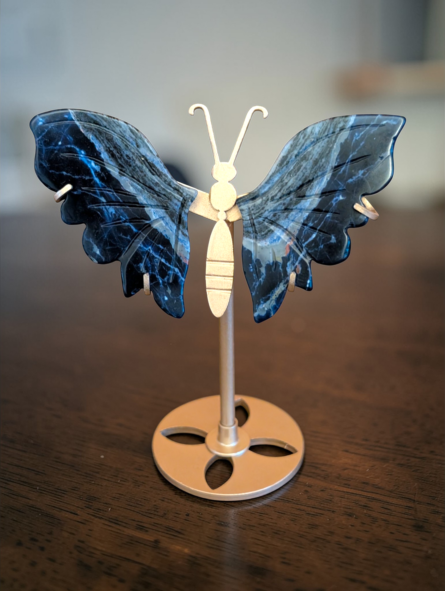 6 inch Butterfly Wings