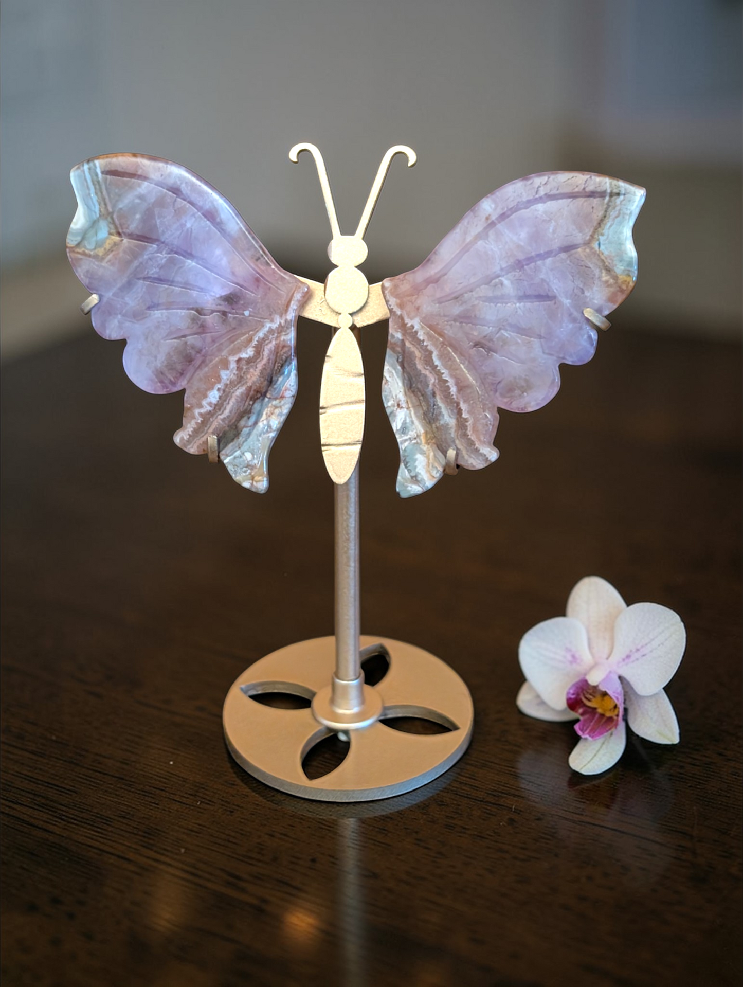 6 inch Butterfly Wings