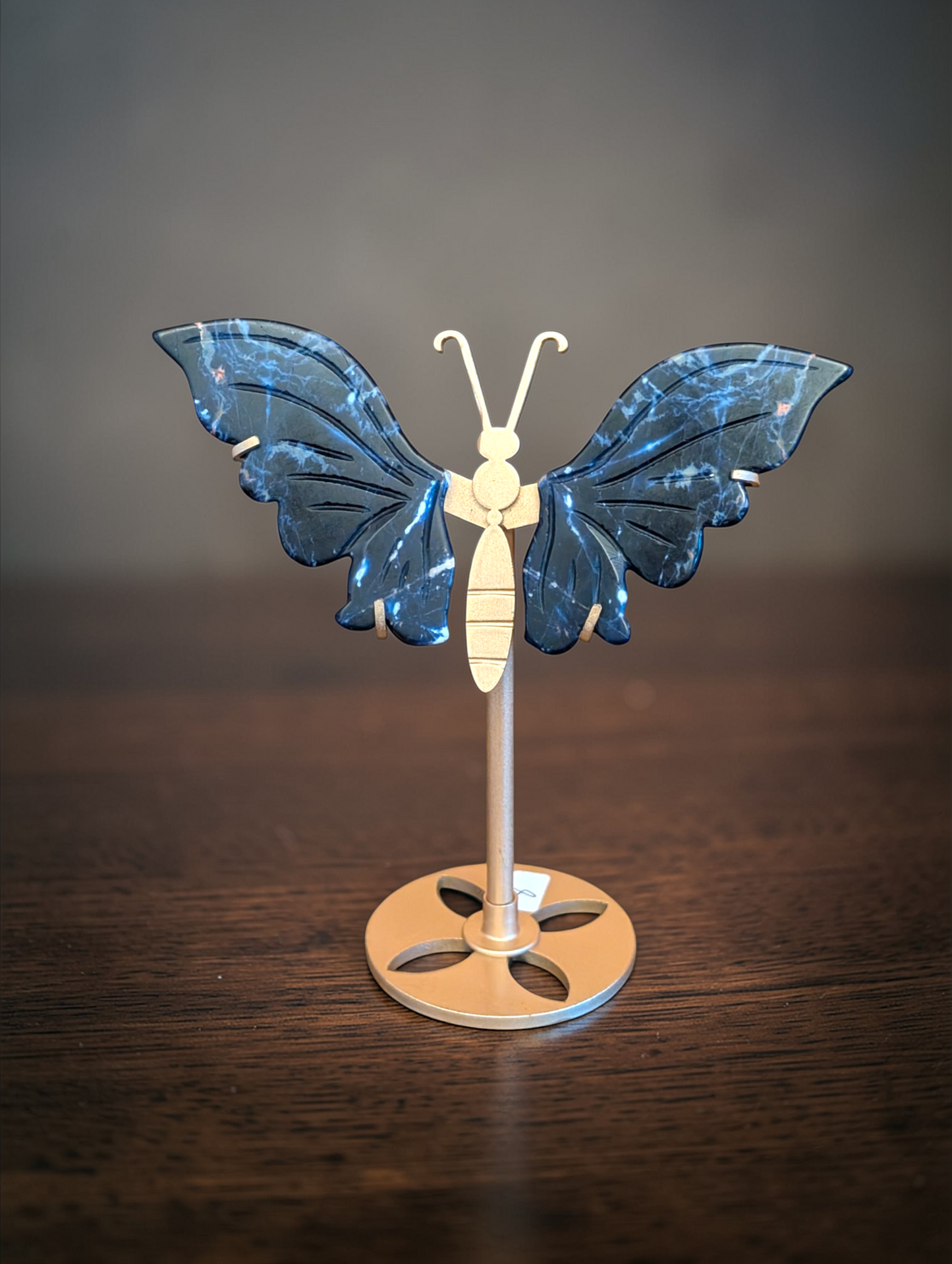 6 inch Butterfly Wings