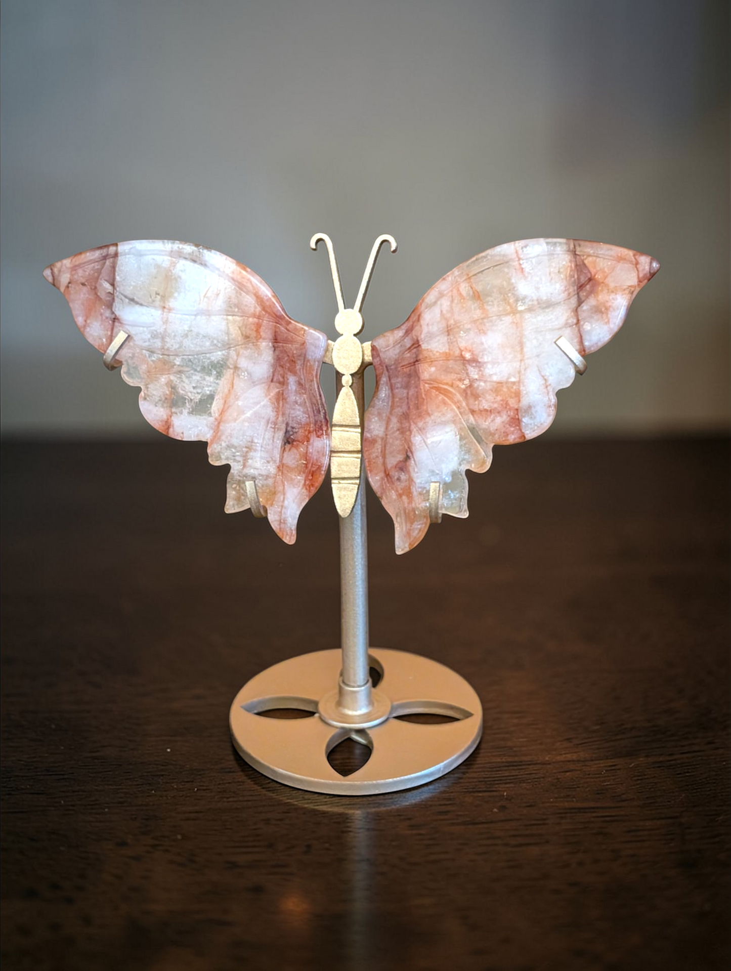 6 inch Butterfly Wings