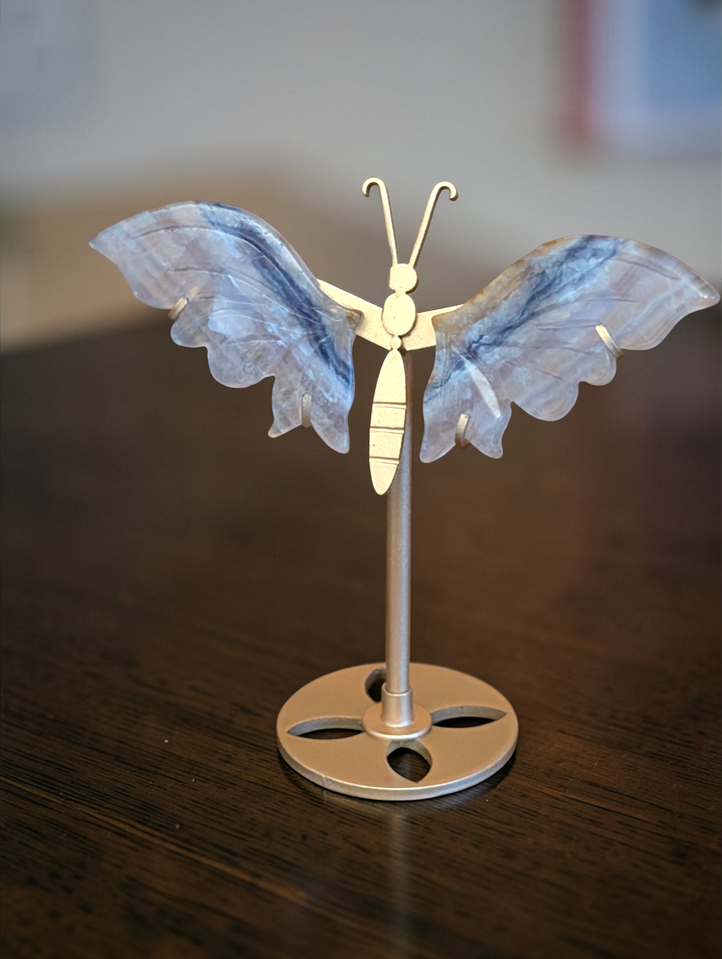 6 inch Butterfly Wings
