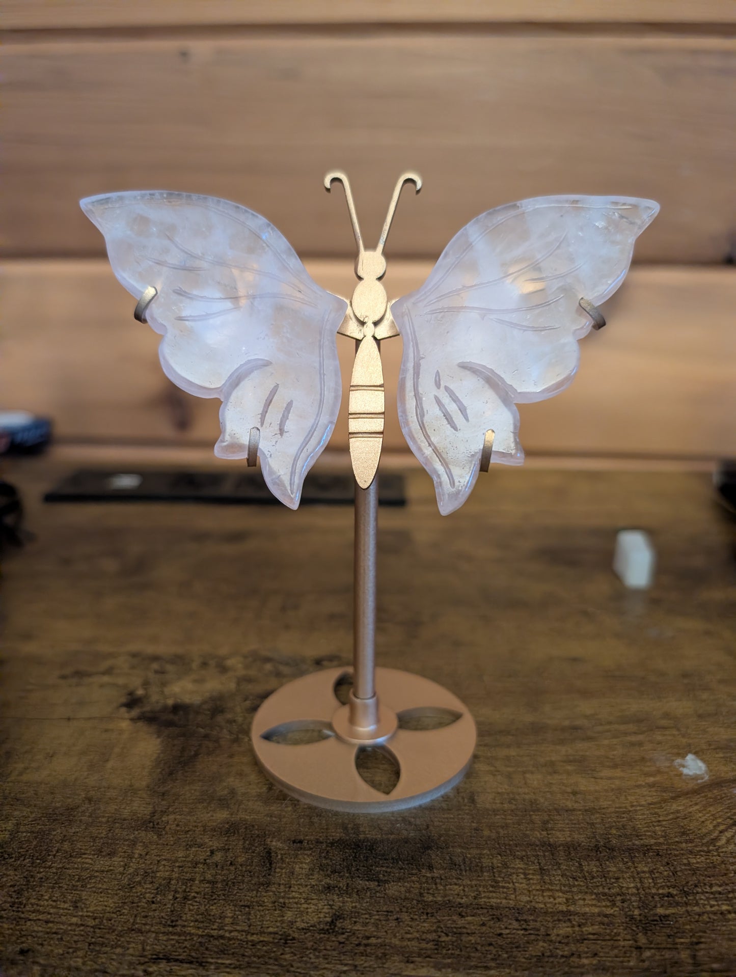 6 inch Butterfly Wings