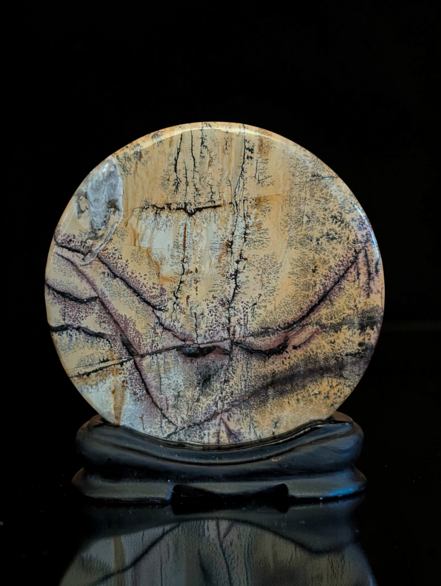 Picture Jasper on Stand #PICT-S7JQ22