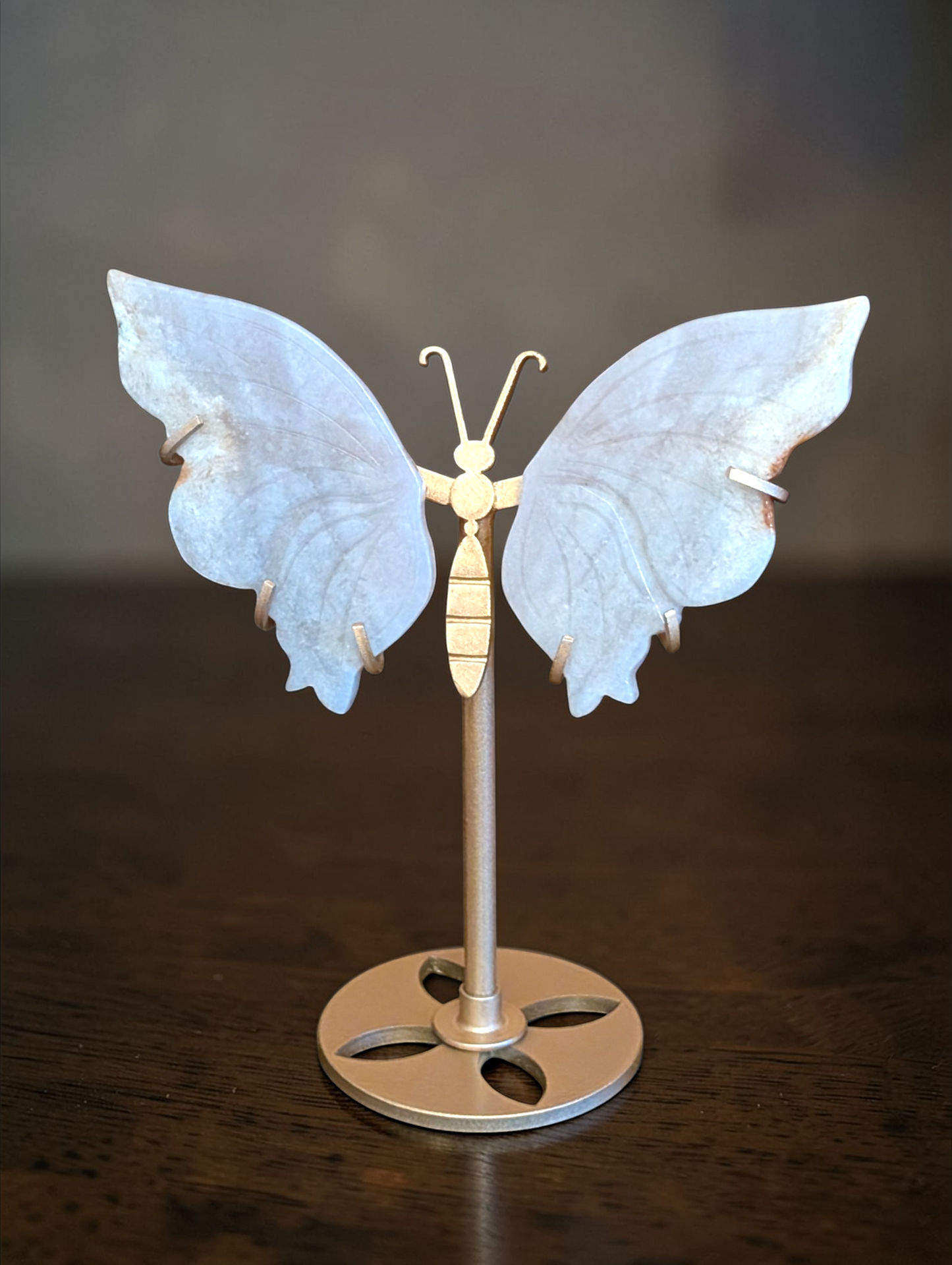6 inch Butterfly Wings