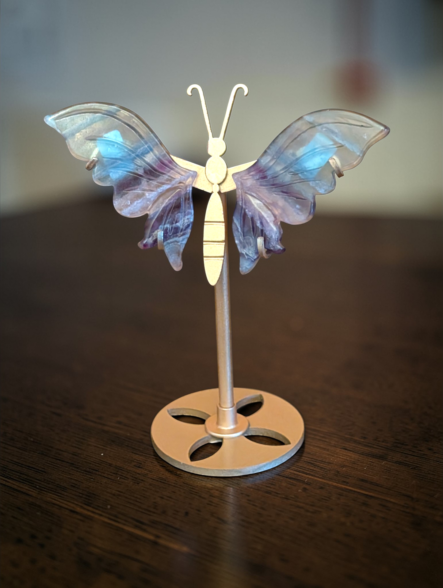 6 inch Butterfly Wings