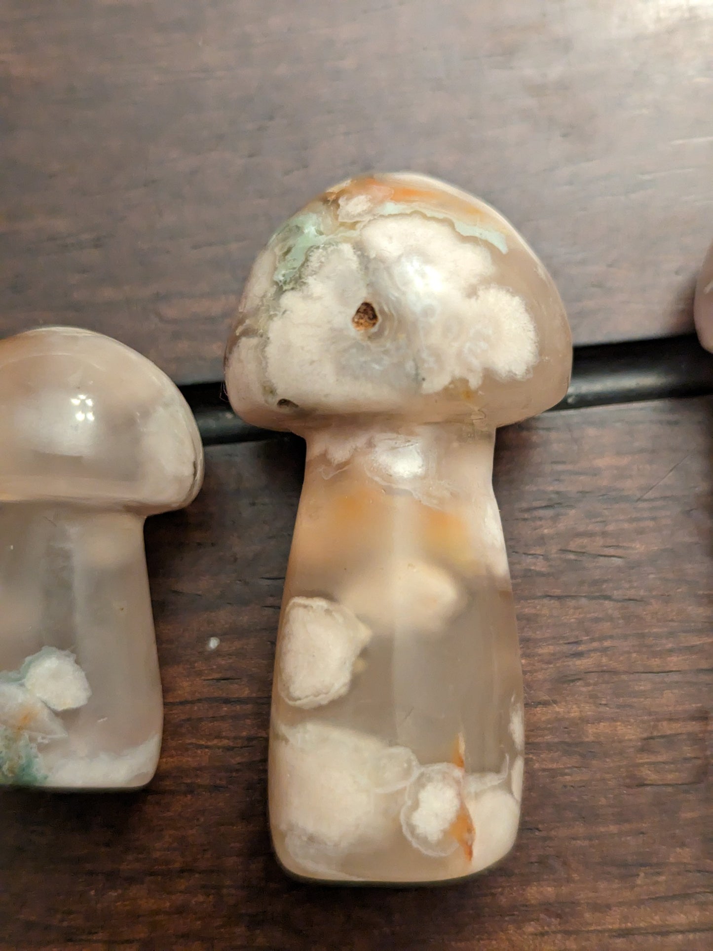 Flower Agate Mushrooms