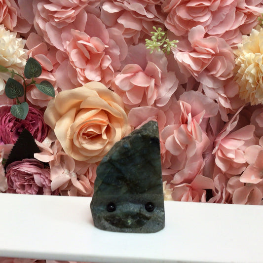 Over $20 Crystal Buddy