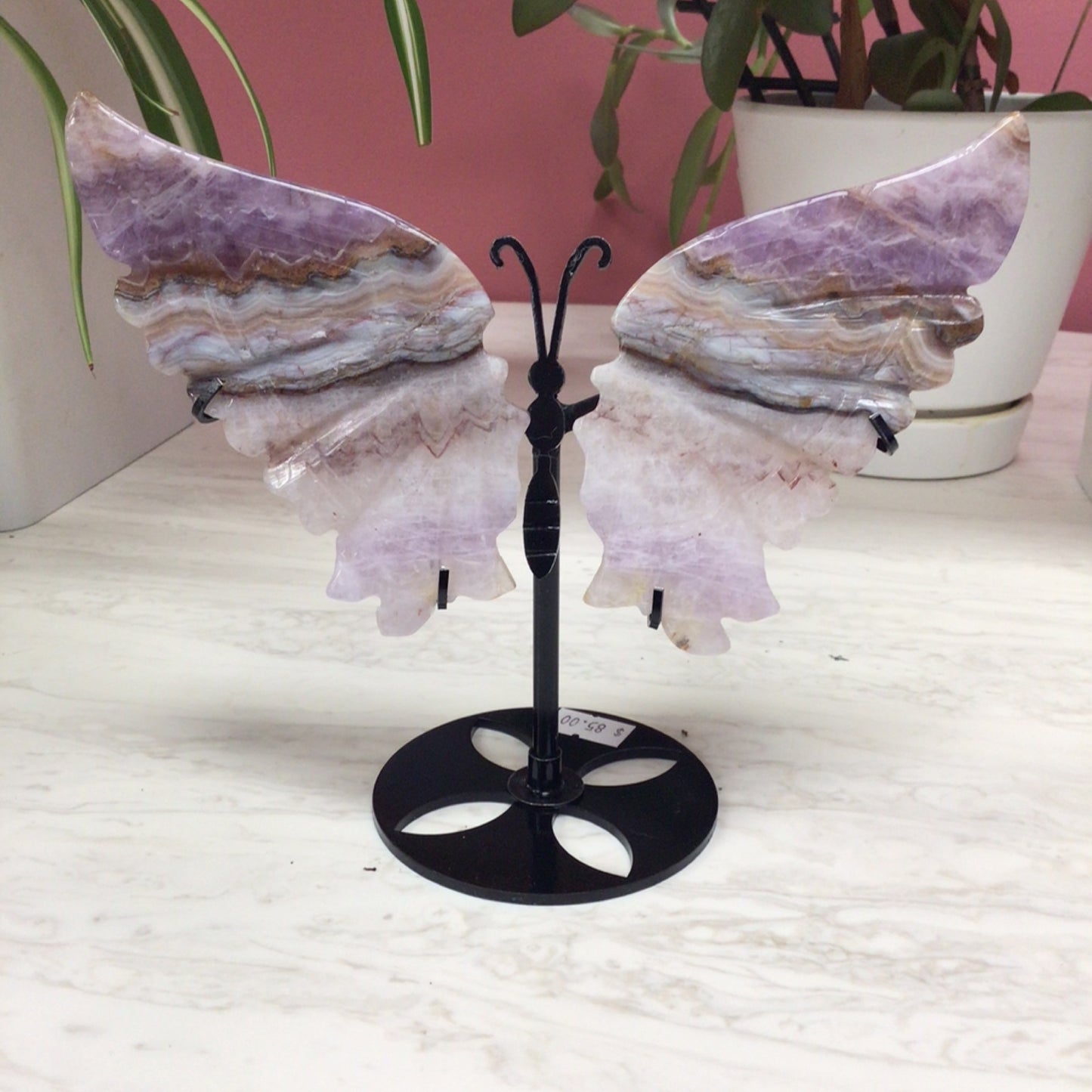 Crazy Lace and Amethyst Wings