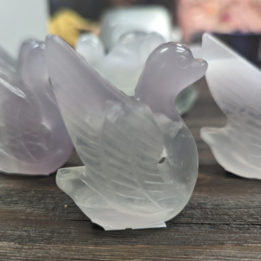 Fluorite Swans