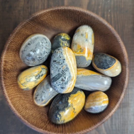 Bumblebee Jasper Tumbles