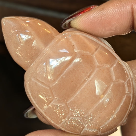 Sunstone Turtles