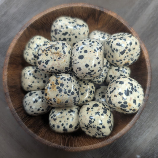 Dalmatian Jasper Tumbles