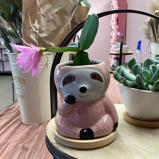 Sloth Pot Potted Plant