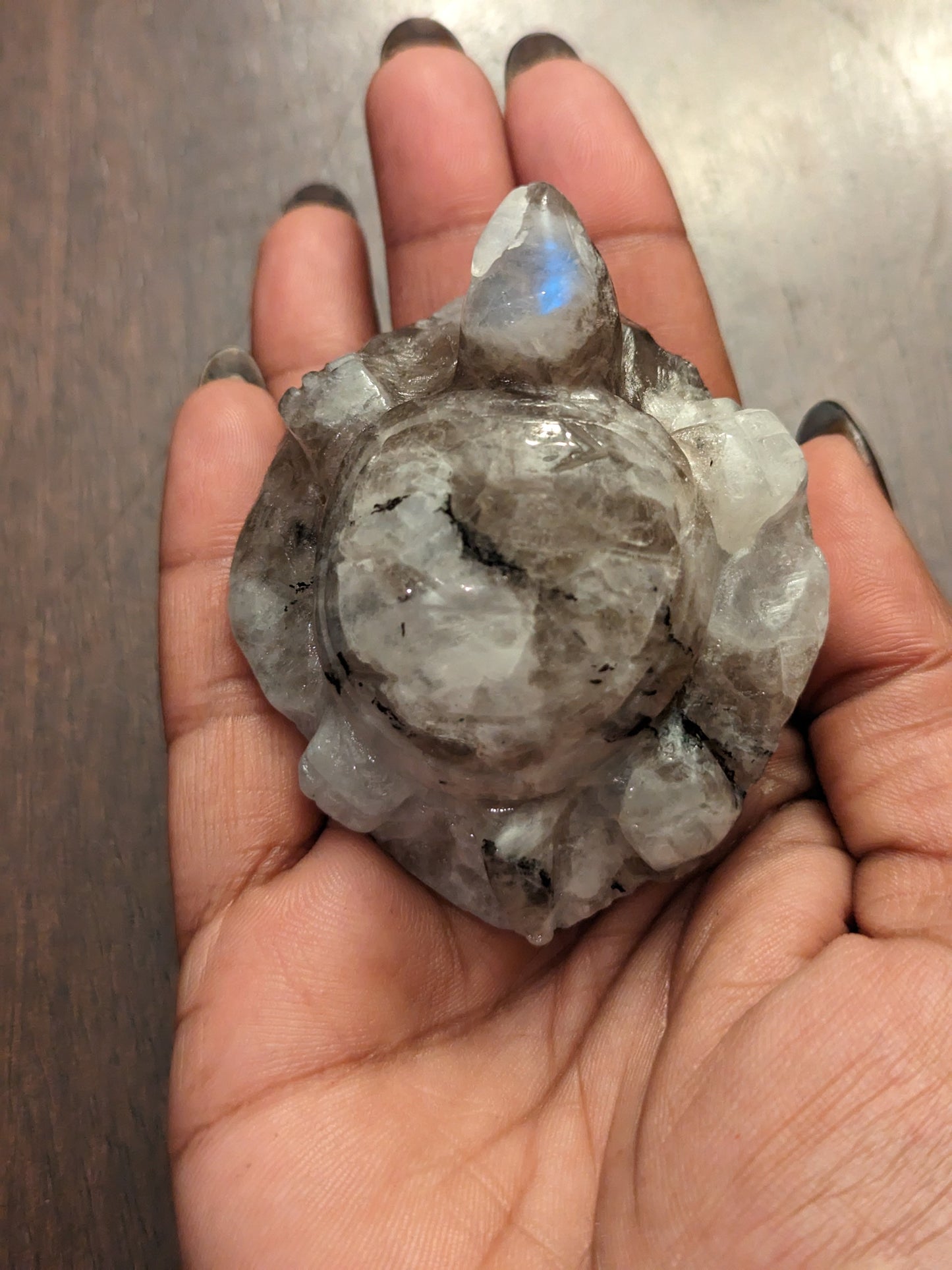 Moonstone Turtles