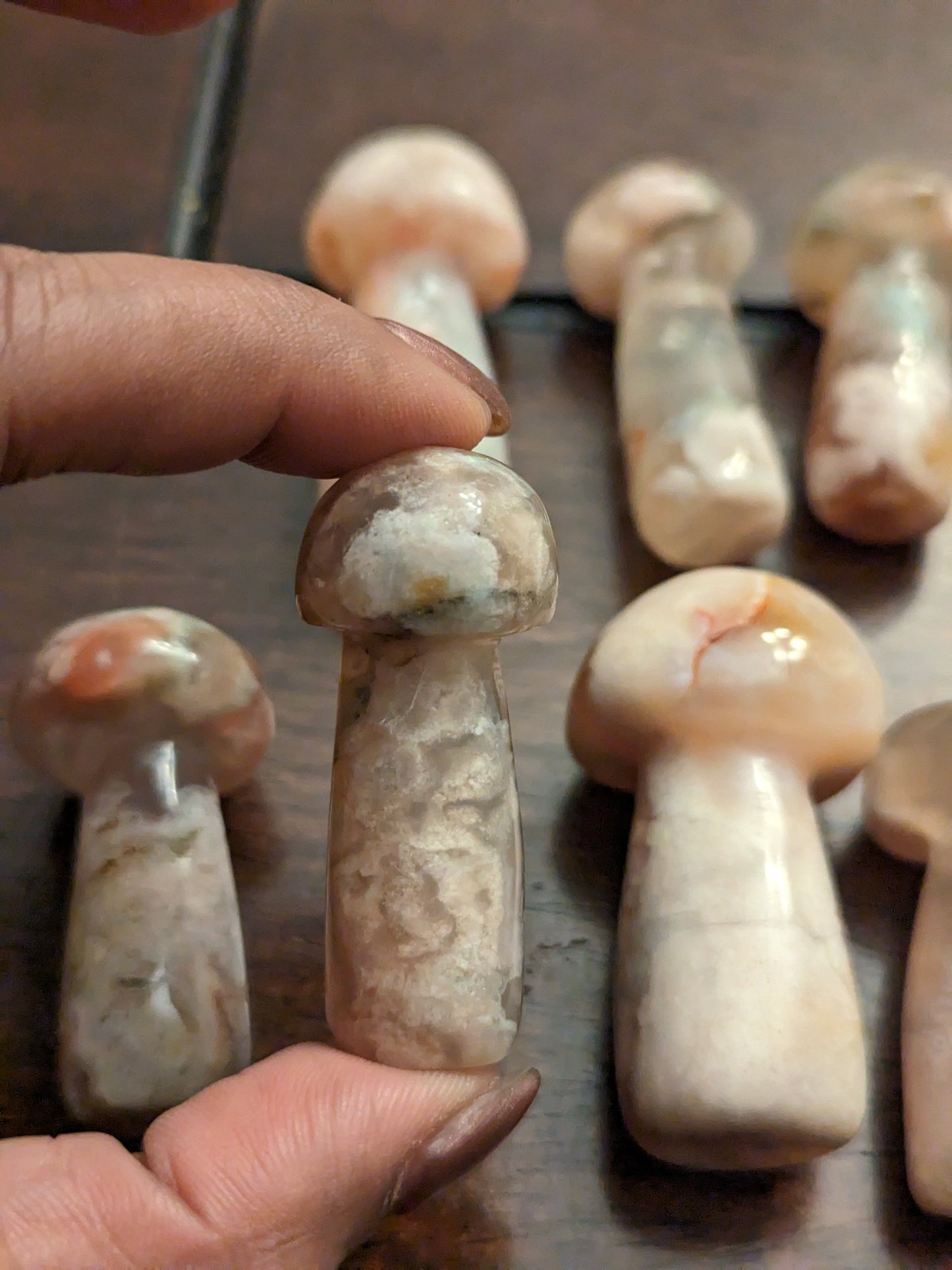 Flower Agate Mushrooms
