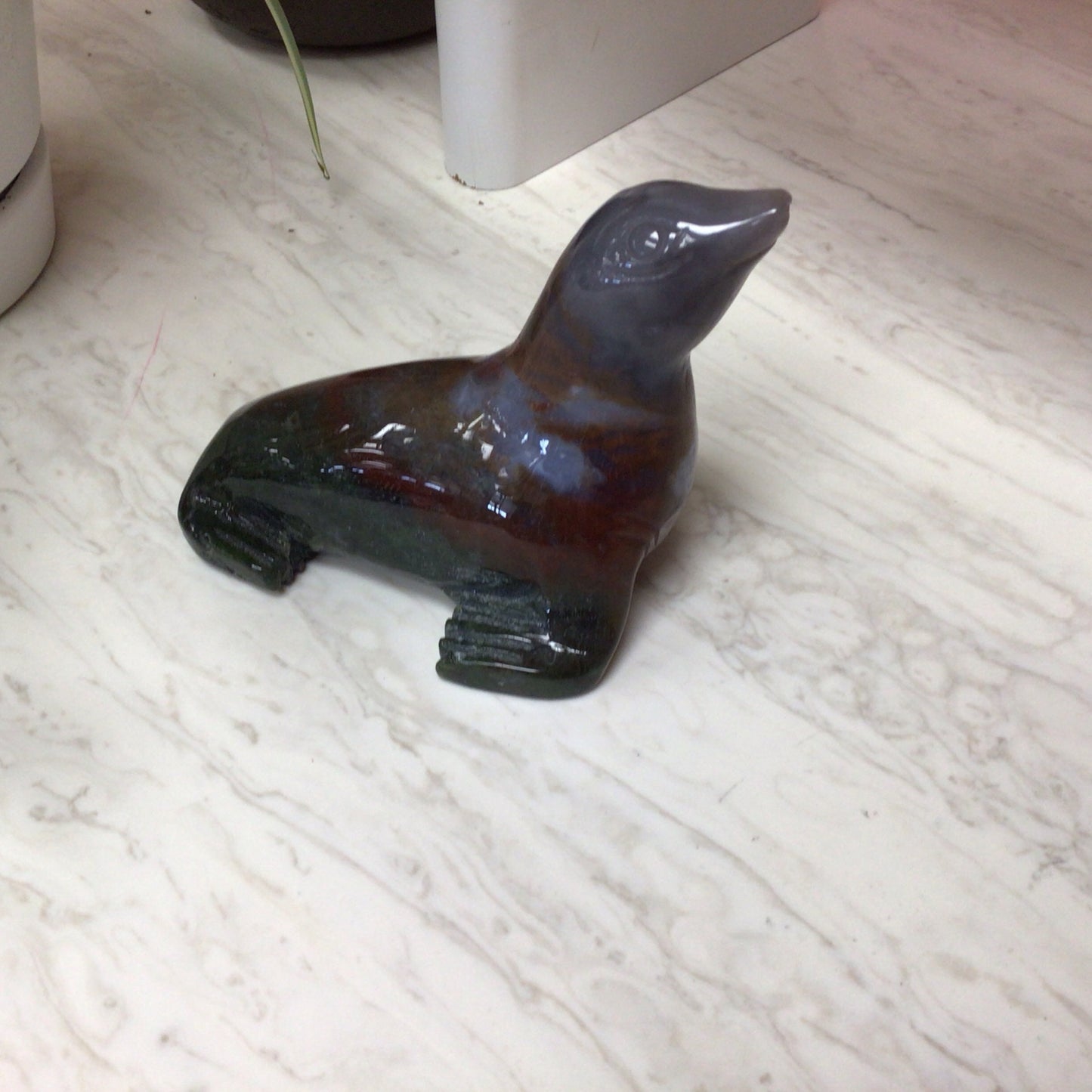 Large Ocean Jasper Sea Lion