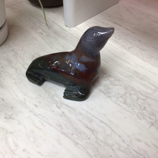 Large Ocean Jasper Sea Lion