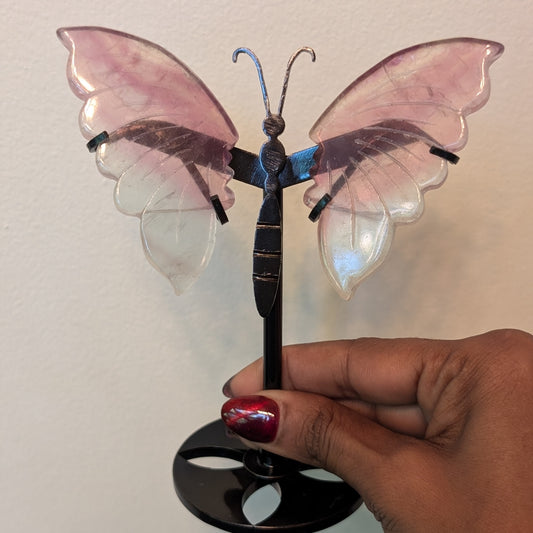 Fluorite Butterfly Wings