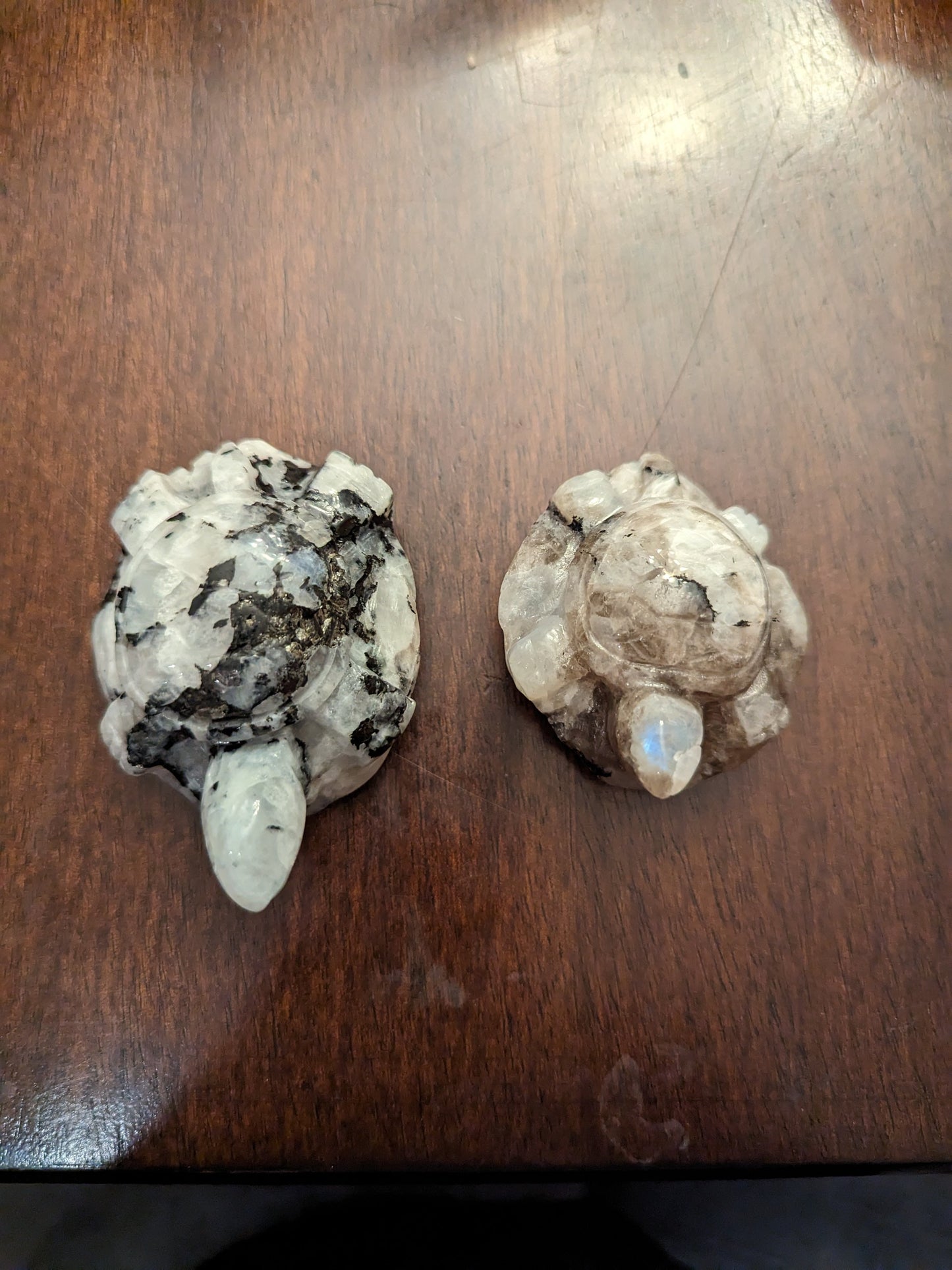 Moonstone Turtles