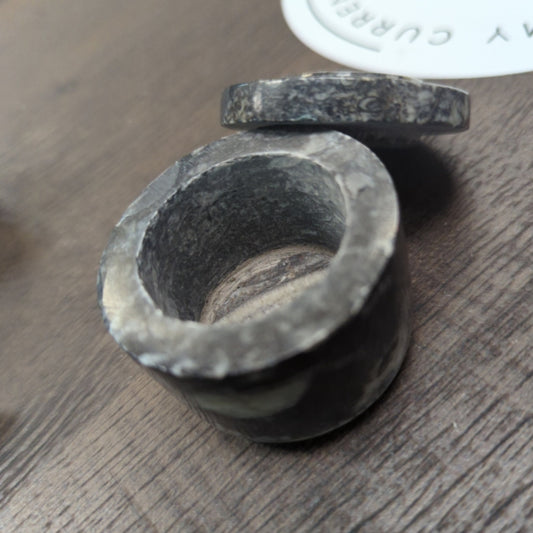 Fossil Box Orthoceras