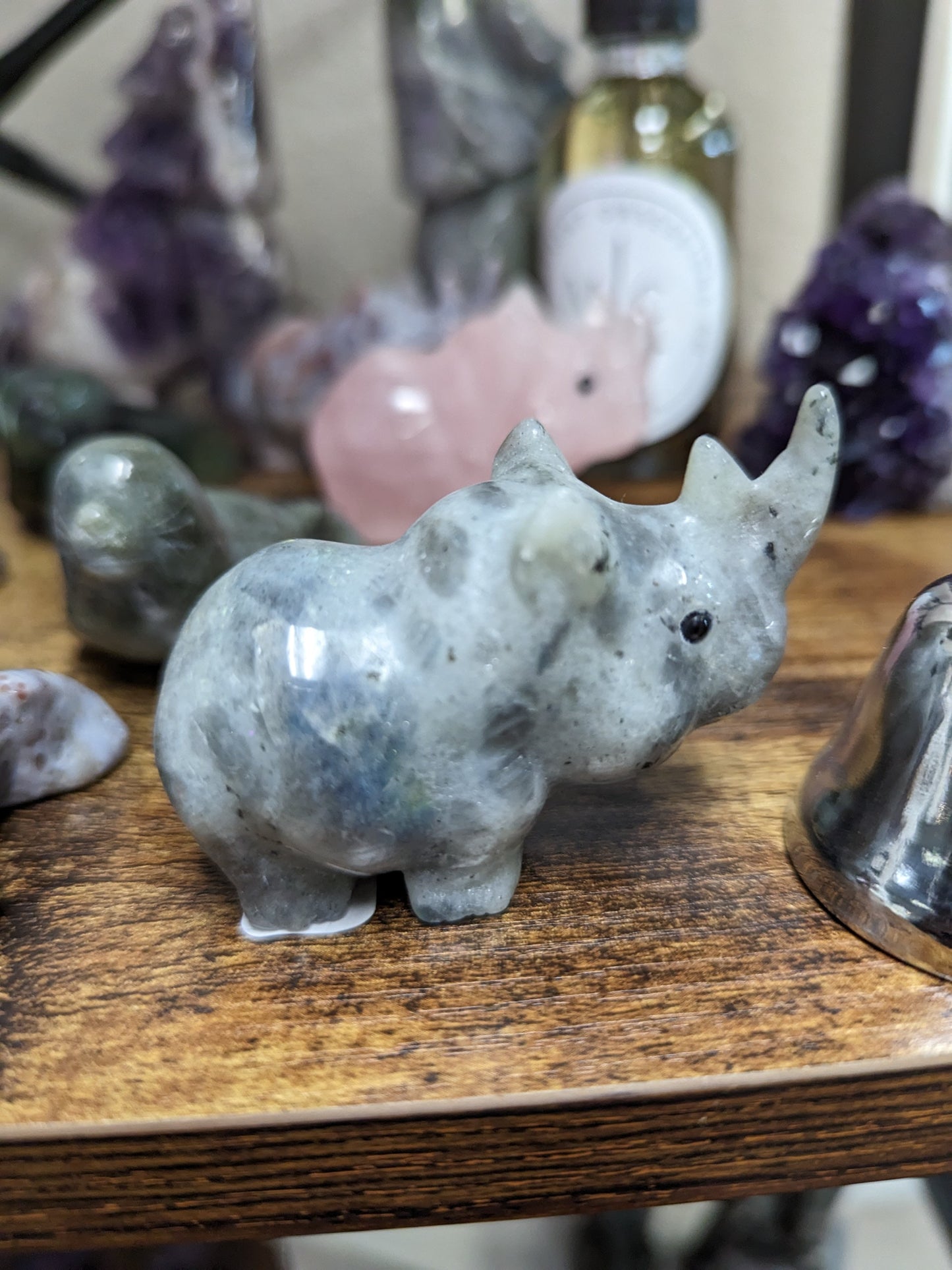 Small Rhino